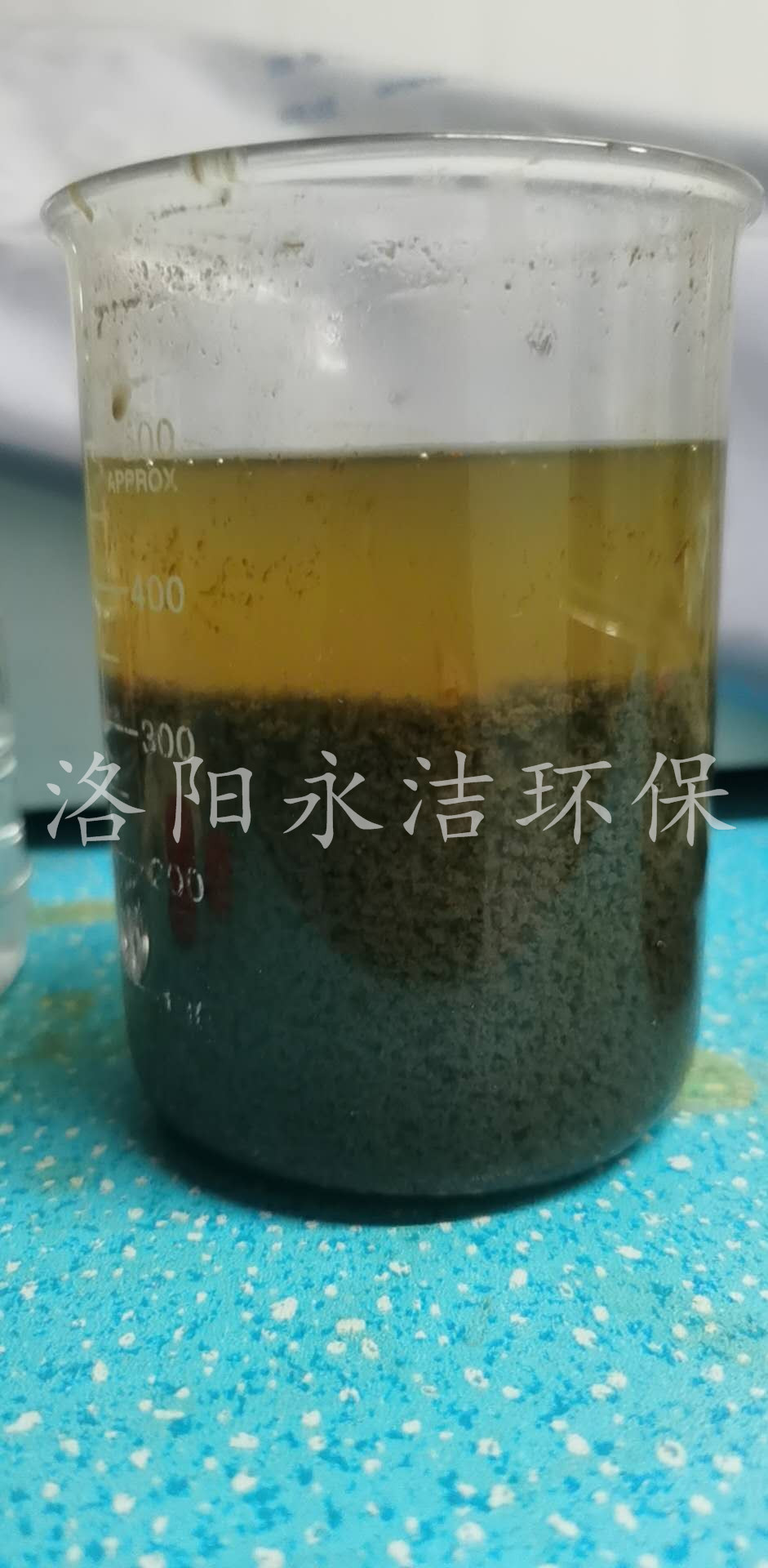 實驗展示 實驗展示